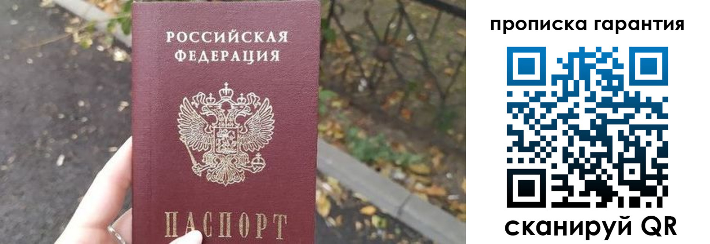 где прописаться в Всеволожске